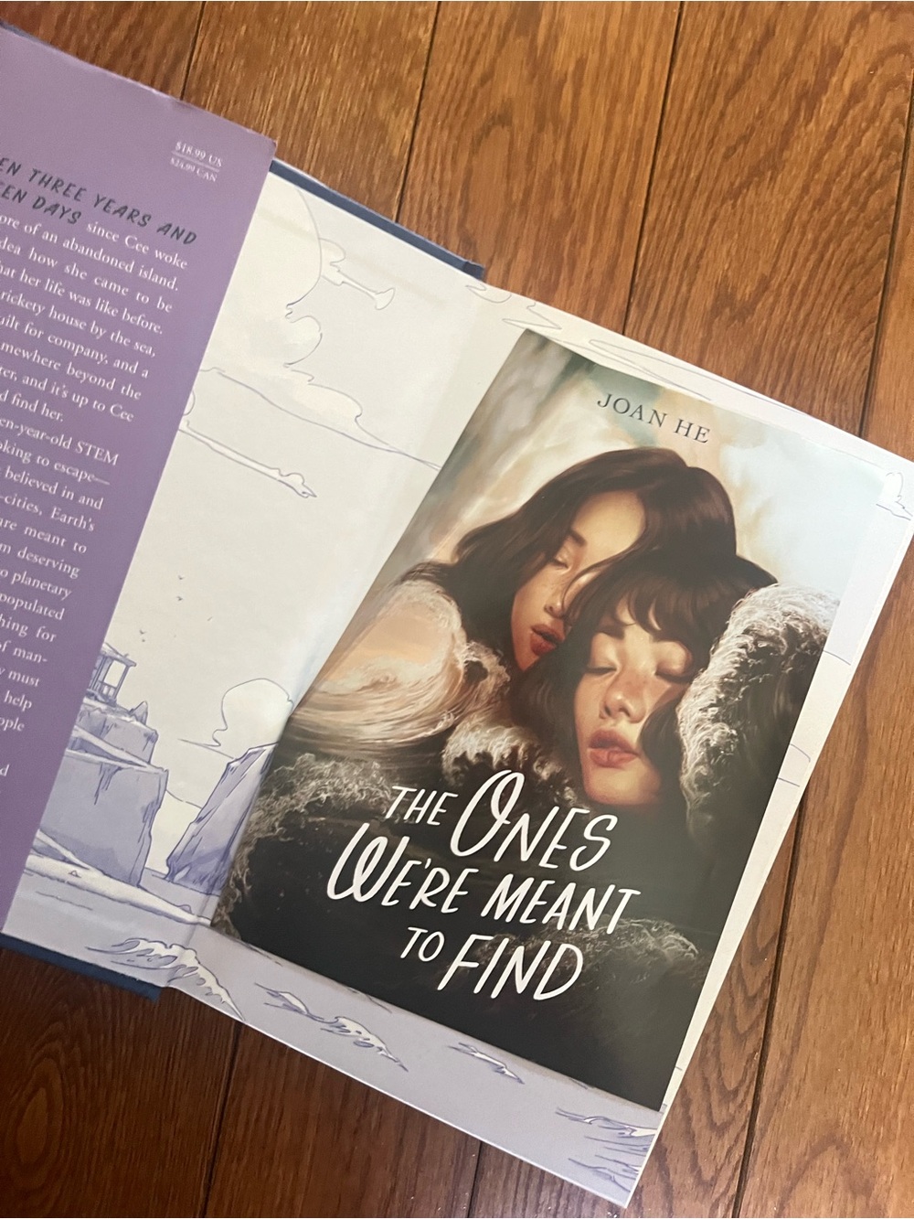 Owlcrate | The Ones We’re Meant to Find by Joan He - Picture 2 of 5